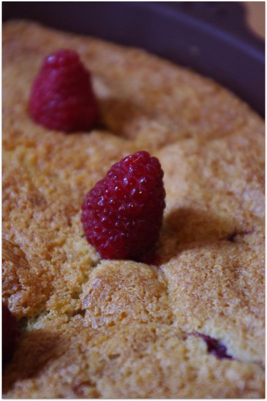 Gâteau aux framboises et à la noix de coco Les bonnes recettes de Julie