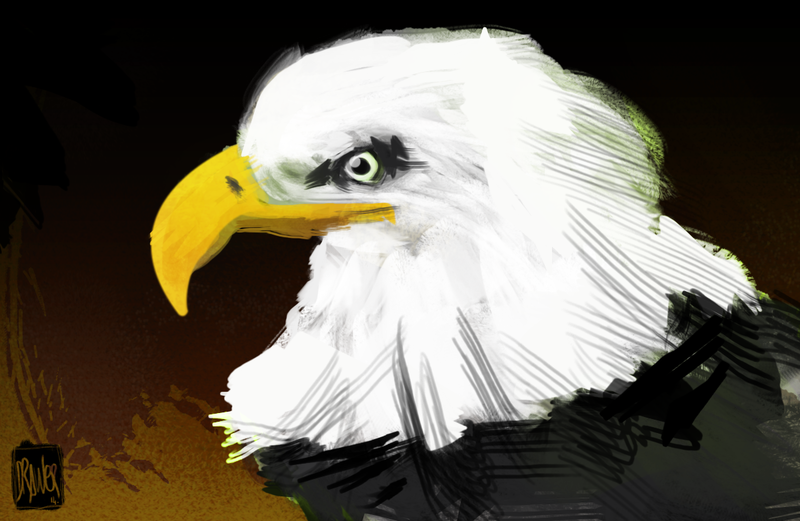eagle
