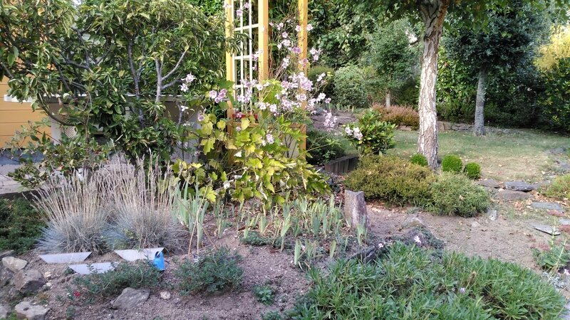 16 09 22 Jardin 17h26