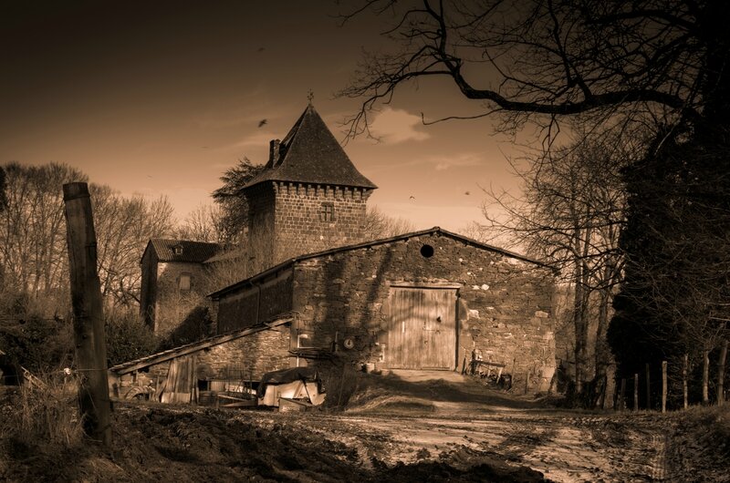 IMGP3024-1