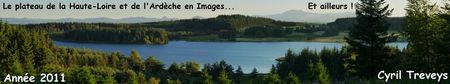 Ann_e_2011