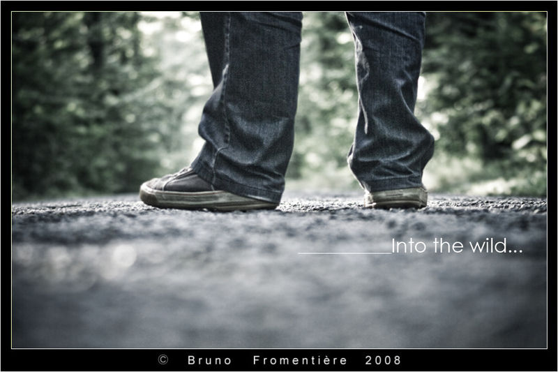 Into_the_wild