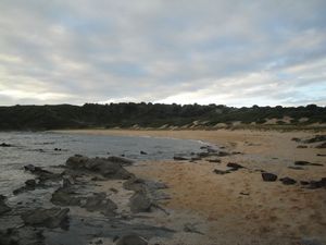 DSC06223