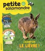 Petite Salamandre avril-maii 17