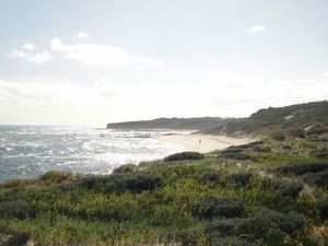 DSC06103