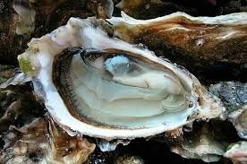 images (5)