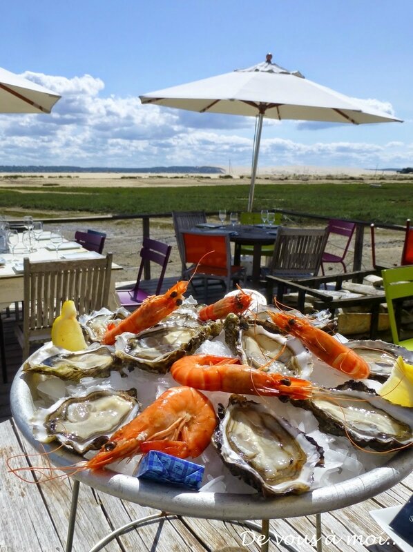 Cap Ferret 15