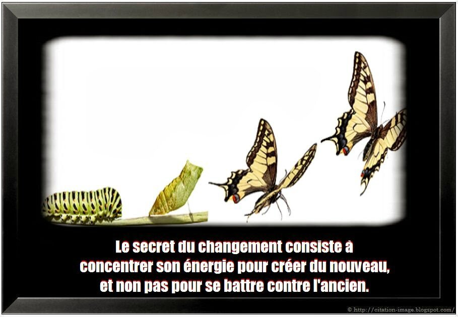 Une rencontre qui a bouleverse ma vie