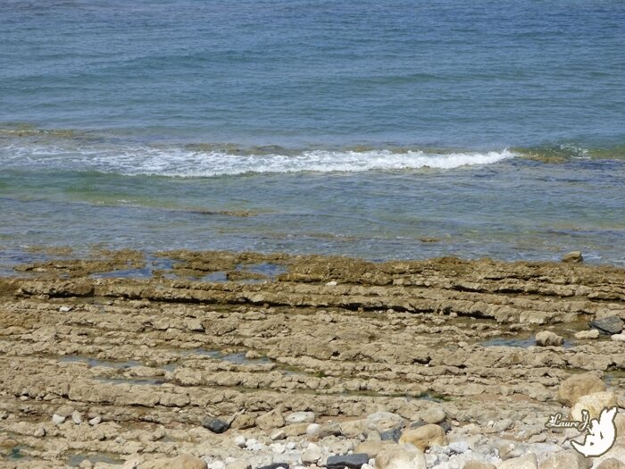 Phare de Chassiron 11
