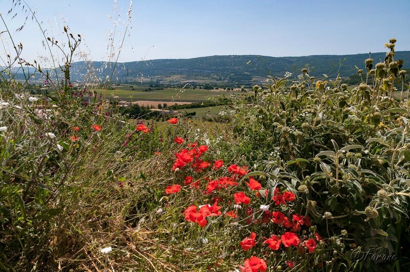 Vue du village de Sault Vaucluse-2