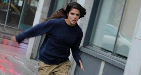 Fugitive