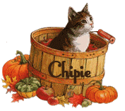 chipie