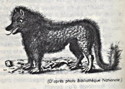Rencontres amoureuses gagny