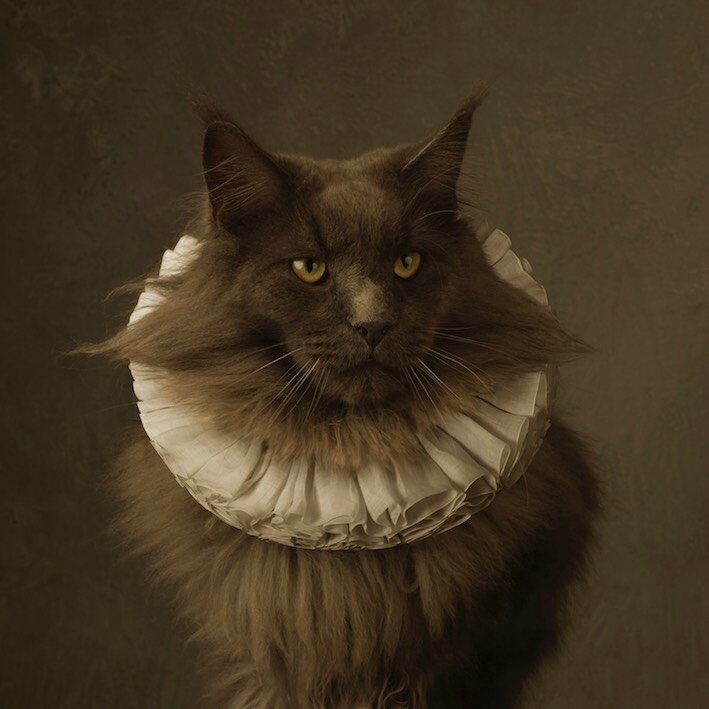 marie-cecile-thijs---cat_709