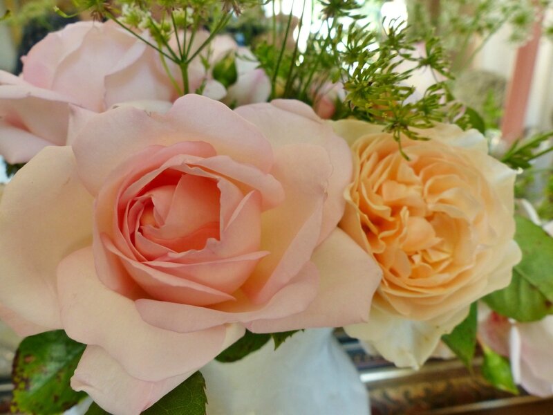 P1050589