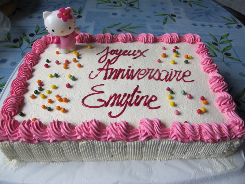 Gâteau Rectangulaire sur Pinterest Gâteaux Croisées  - gateau anniversaire rectangulaire