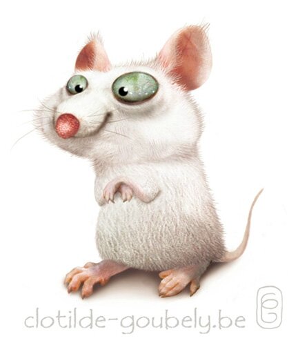 souris-blanche2