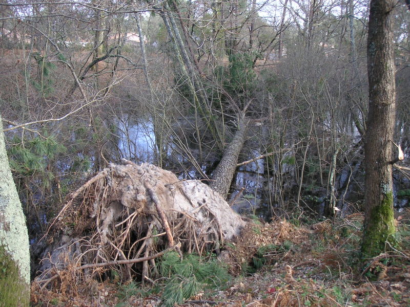 rencontre de duroy et forestier