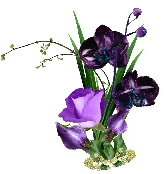 114216672_o.png