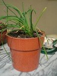 Photo_093