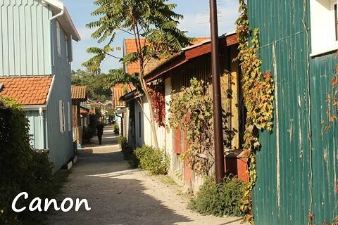 canon-2