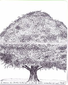 arbre2