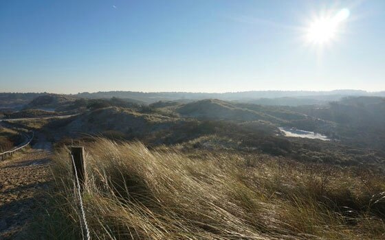 41018_fullimage_noordwijk_dunes_560x350