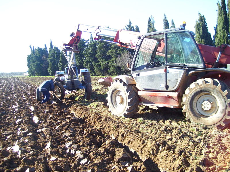 Agriculteur rencontre agricultrice