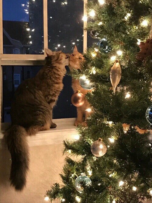 tumblr_oi1deb9iHM1udvejpo1_500