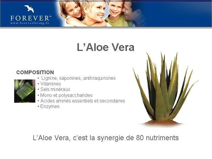 Composition de l'Aloé Véra Aloé Barba Caro Composition de l'Aloé Véra Aloé Barba Caro