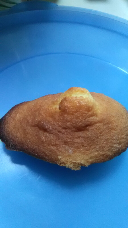 Madeleines 10 (2)