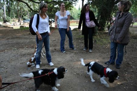 rencontre cavalier king charles