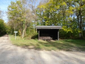 foret amboise (11)