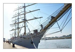437_10151653318946273_94947552_n armada10