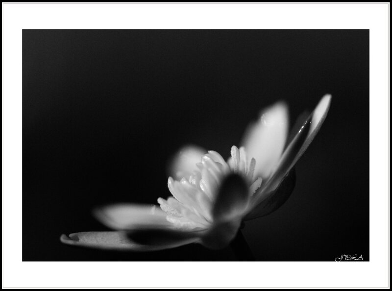 14 04 11 14 03 19 105macro 9420 b