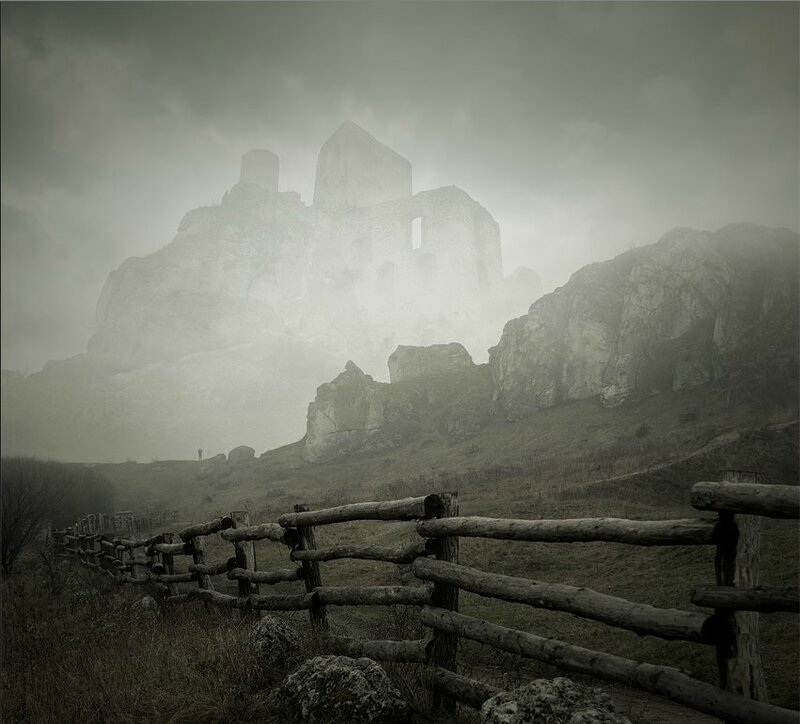 Leszek Bujnowski 6