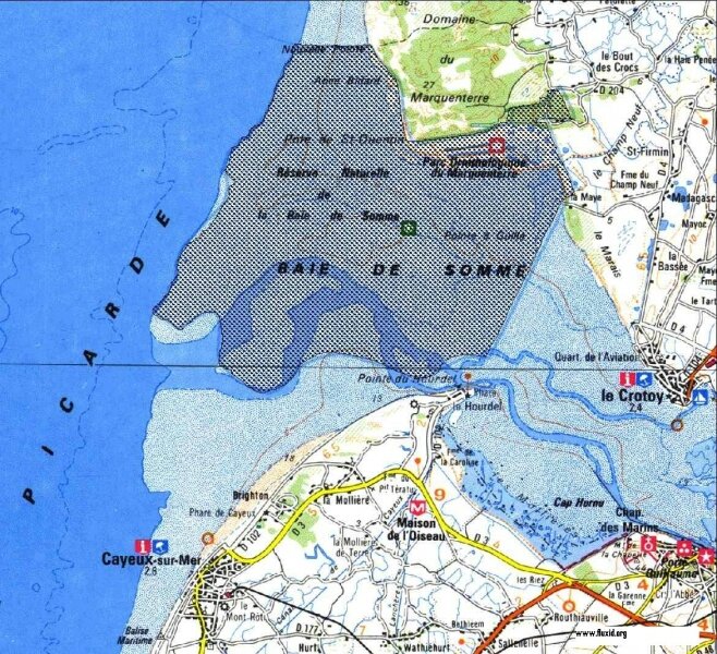 Baie de Somme, phoques et écovolontariat avec Picardie Nature Et si