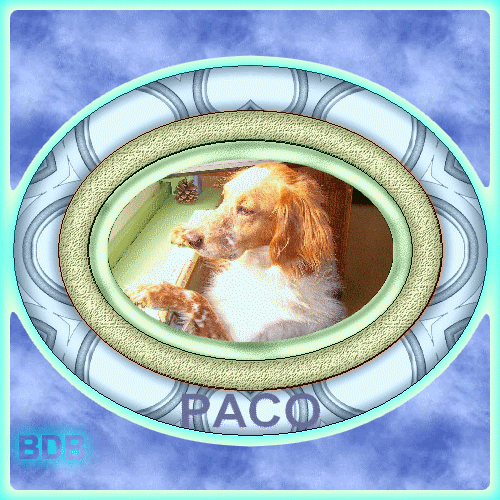 paco3