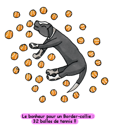 fibyballe