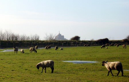 MtStMichel_07_2