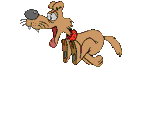 Chien