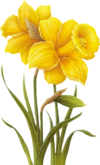 114216791_o.png