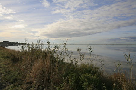 Maguelone_0412