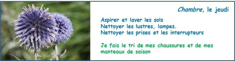 jeudi7nov