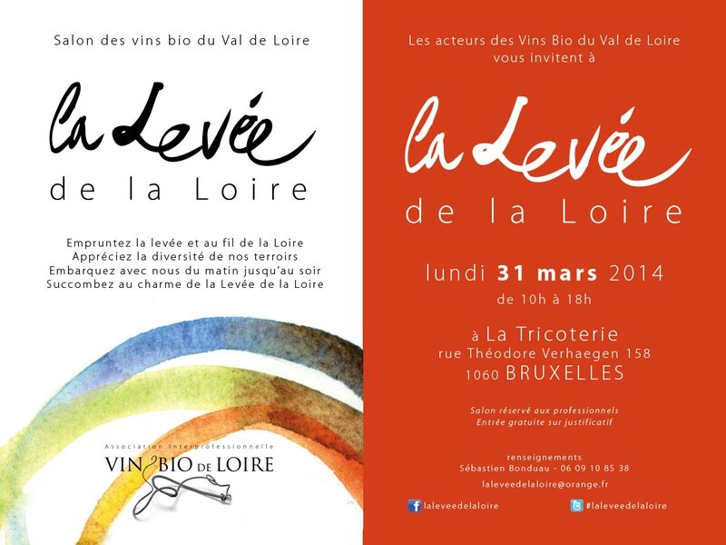 invitationAIVBLbruxelleMars2014