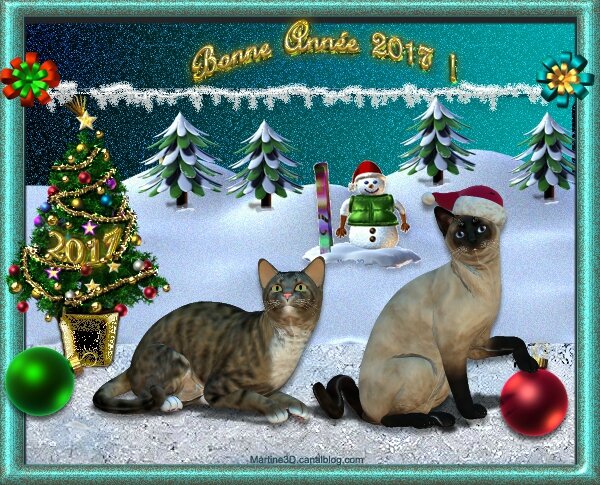022-carte-bonne-
année-2017-chats-neige-sapins-snowman