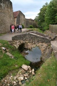 IMG_6573