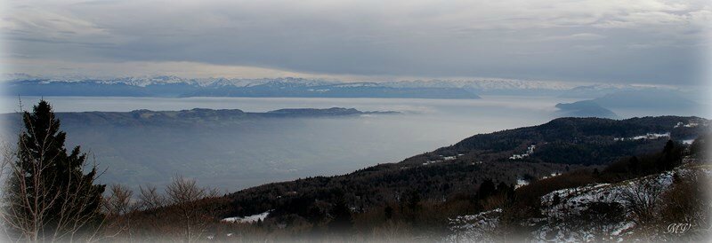 17 11 003 Au Grand Colombier (12) (Copier)