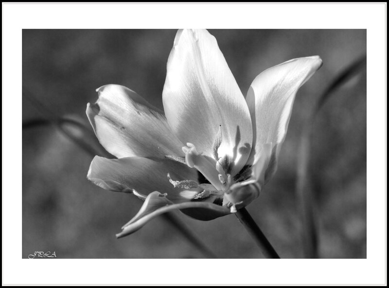 14 04 22 14 04 15 105macro 9952 b