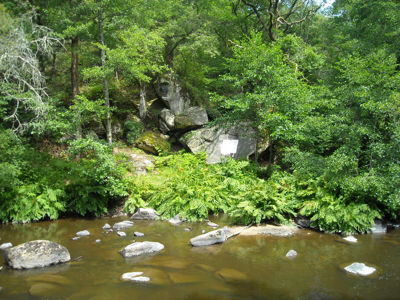 site de rencontre saint junien